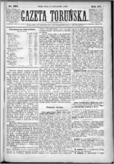 Gazeta Toruńska 1881, R. 15 nr 234