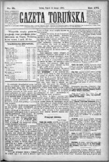 Gazeta Toruńska 1882, R. 16 nr 45