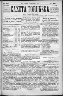Gazeta Toruńska 1884, R. 18 nr 251