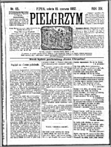 Pielgrzym, pismo religijne dla ludu 1882 nr 65