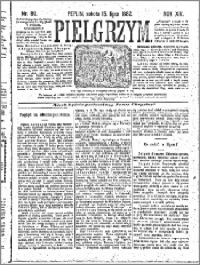 Pielgrzym, pismo religijne dla ludu 1882 nr 80