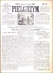 Pielgrzym, pismo religijne dla ludu 1883 nr 17