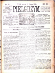 Pielgrzym, pismo religijne dla ludu 1883 nr 20