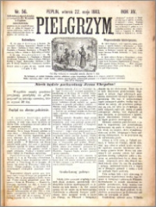 Pielgrzym, pismo religijne dla ludu 1883 nr 56