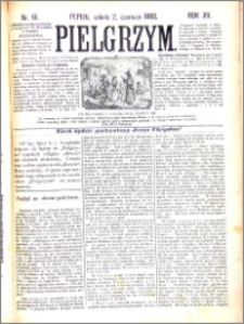 Pielgrzym, pismo religijne dla ludu 1883 nr 61