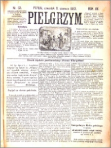 Pielgrzym, pismo religijne dla ludu 1883 nr 63