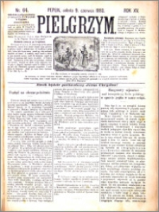 Pielgrzym, pismo religijne dla ludu 1883 nr 64