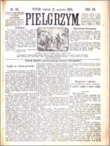 Pielgrzym, pismo religijne dla ludu 1883 nr 65