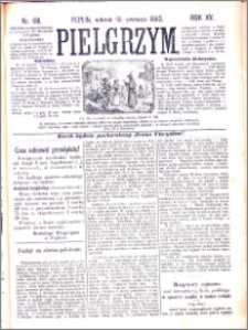 Pielgrzym, pismo religijne dla ludu 1883 nr 68