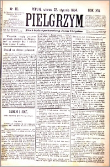 Pielgrzym, pismo religijne dla ludu 1884 nr 10