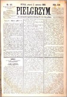 Pielgrzym, pismo religijne dla ludu 1885 nr 64