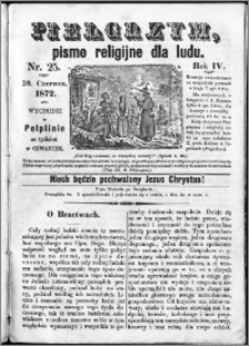 Pielgrzym, pismo religijne dla ludu 1872 nr 25