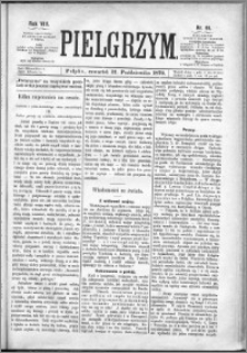Pielgrzym, pismo religijne dla ludu 1876 nr 80