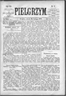 Pielgrzym, pismo religijne dla ludu 1876 nr 17