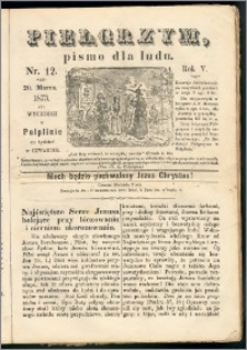 Pielgrzym, pismo religijne dla ludu 1873 nr 12