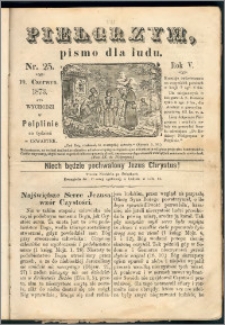 Pielgrzym, pismo religijne dla ludu 1873 nr 25