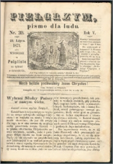 Pielgrzym, pismo religijne dla ludu 1873 nr 30