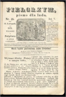 Pielgrzym, pismo religijne dla ludu 1873 nr 46