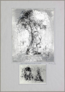 Drzewo Fischera z Lądka