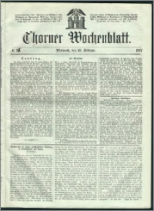 Thorner Wochenblatt 1867, No. 25