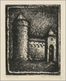 Zamek w Reszlu