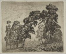 Drzewa z widokiem na Wilno