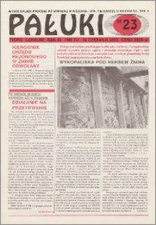 Pałuki. Pismo lokalne 1993.06.18 nr 23 (71)