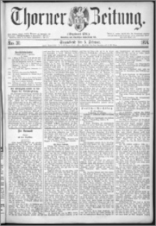 Thorner Zeitung 1876, Nro. 30