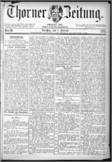 Thorner Zeitung 1877, Nro. 30